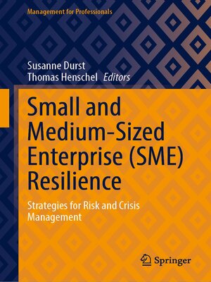 cover image of Small and Medium-Sized Enterprise (SME) Resilience